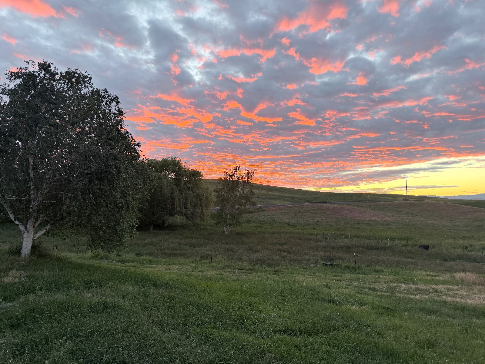 High Prairie Ranch cover
